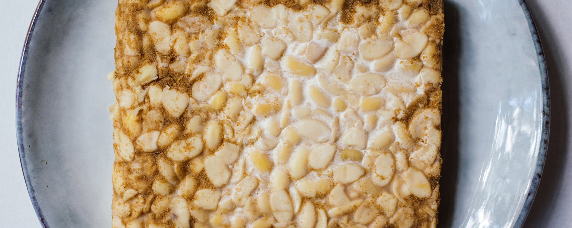 tempeh