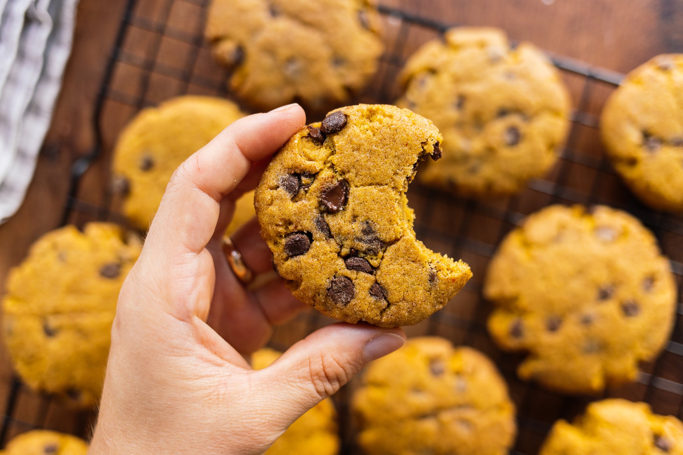 vegane Snickerdoodles mit Schokoladenstücken