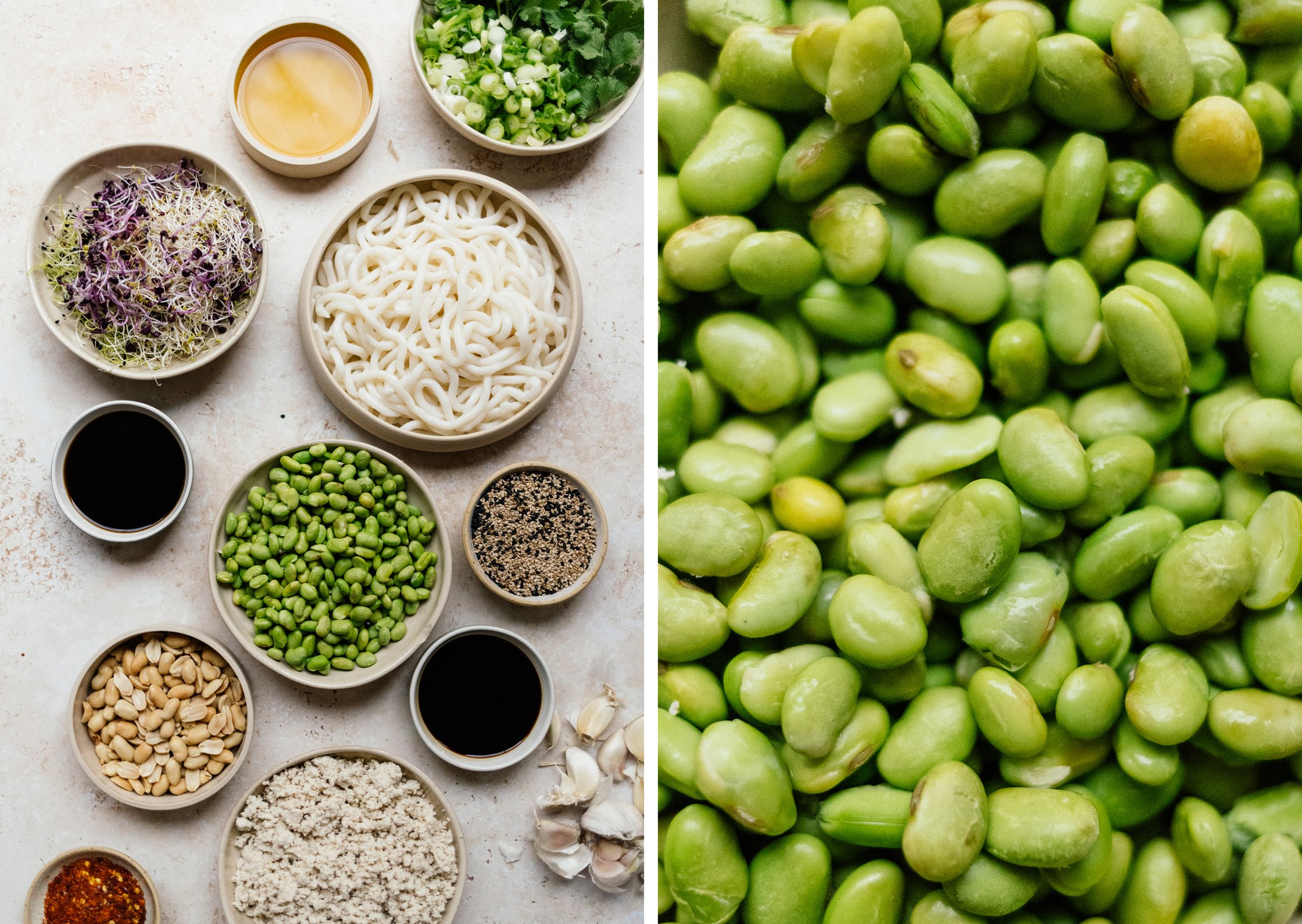 ingredients for hot oil udon noodles