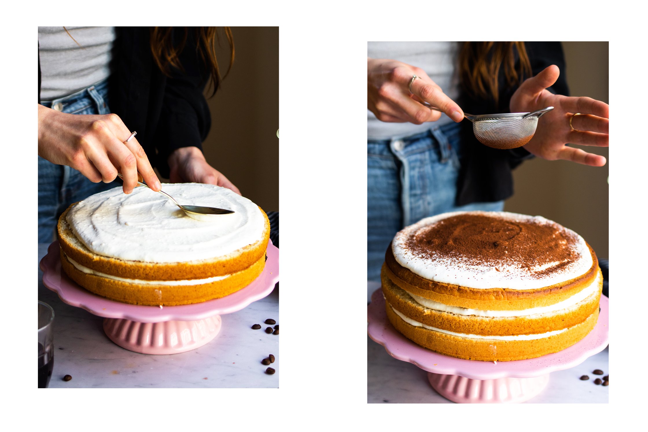 Vegan Sponge Cake with Cream and Cocoa Powder