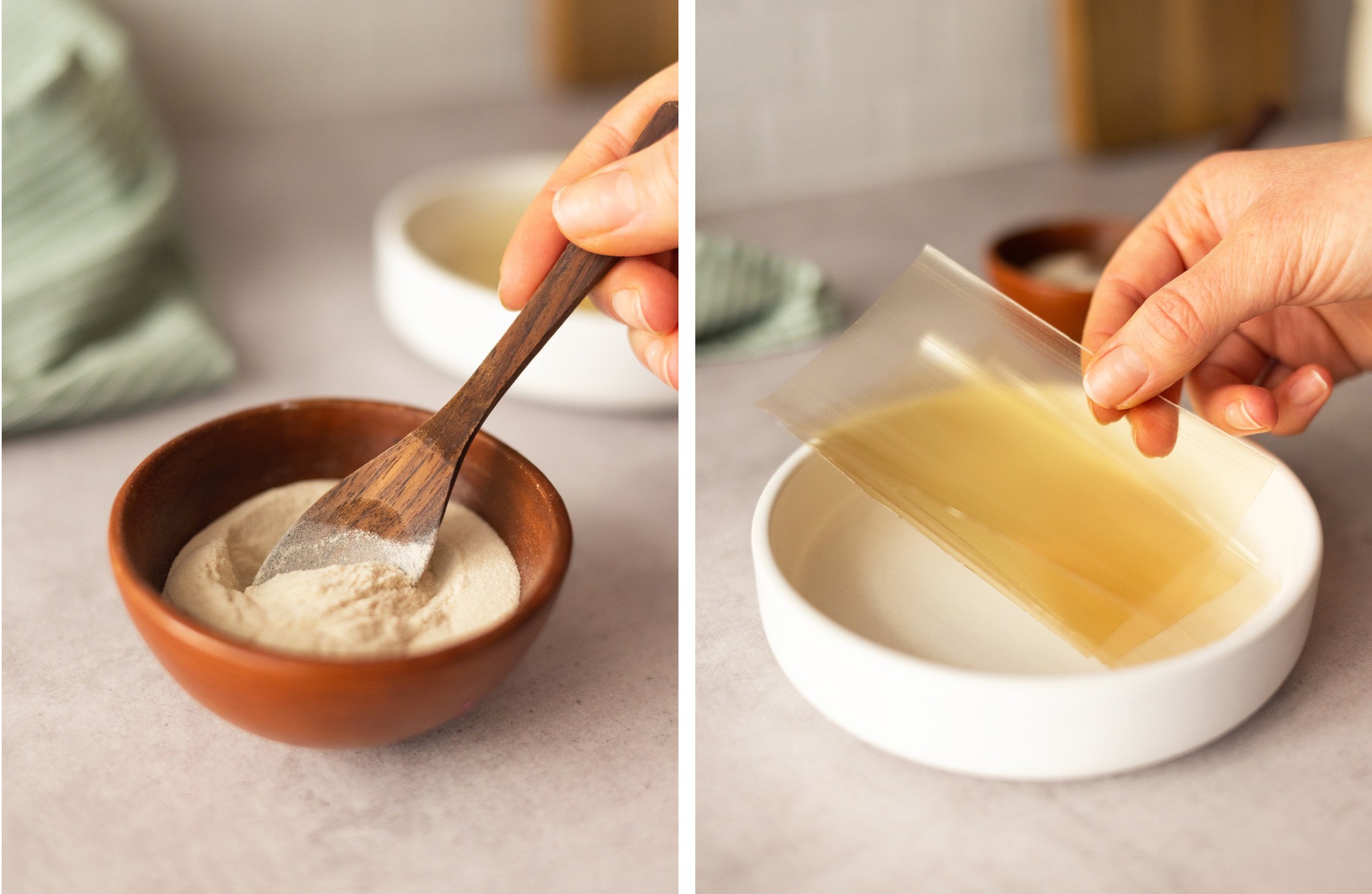 Pulver- und Blatt-Agar Agar