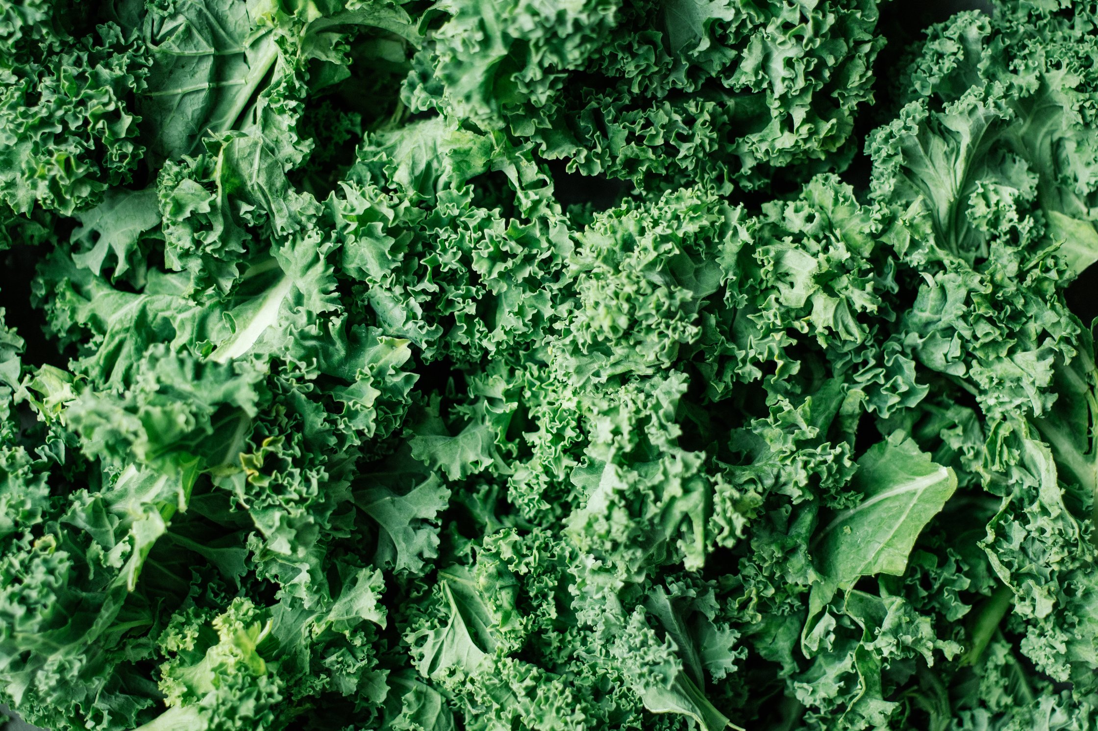 closeup of kale