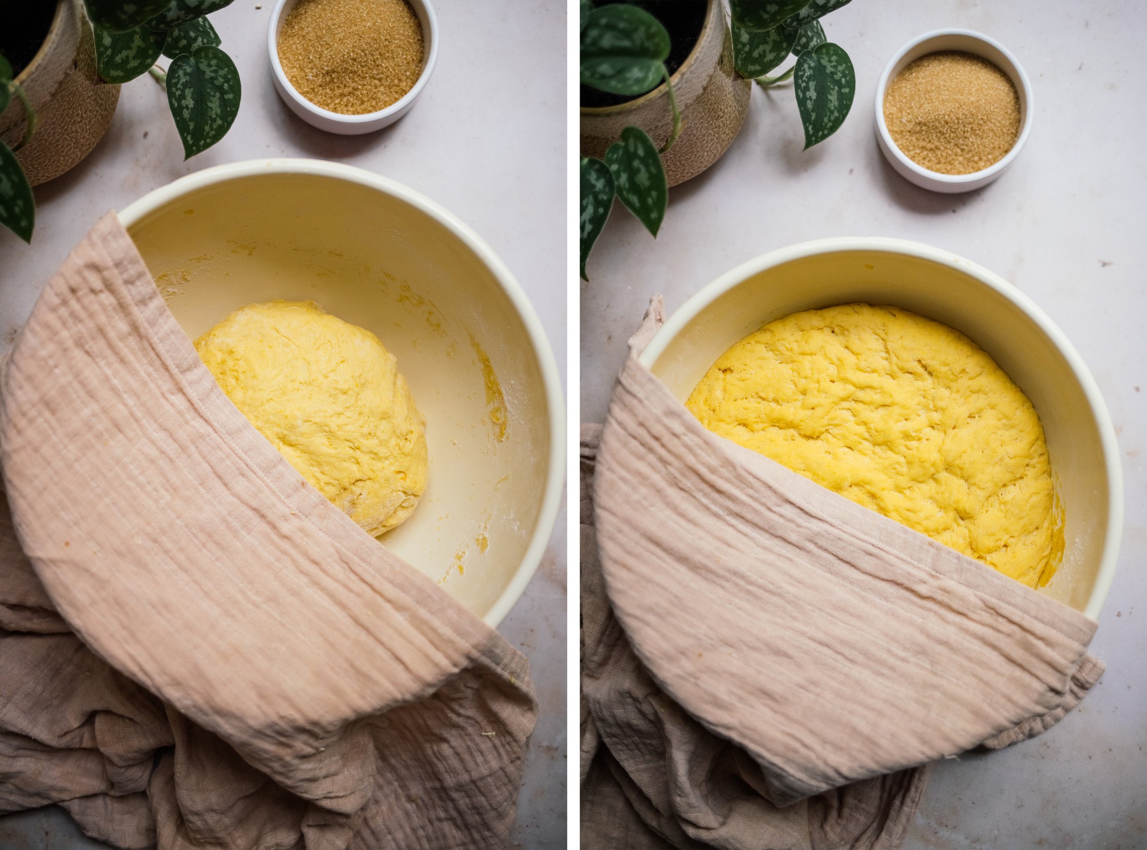 dough for vegan pumpkin spice buns before and after resting