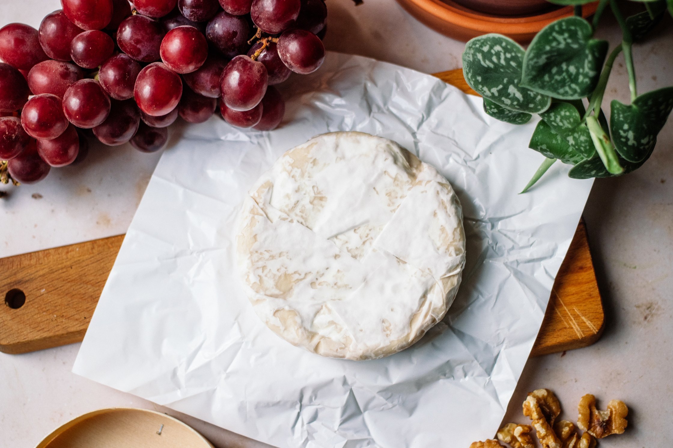 vegan camembert after ripening