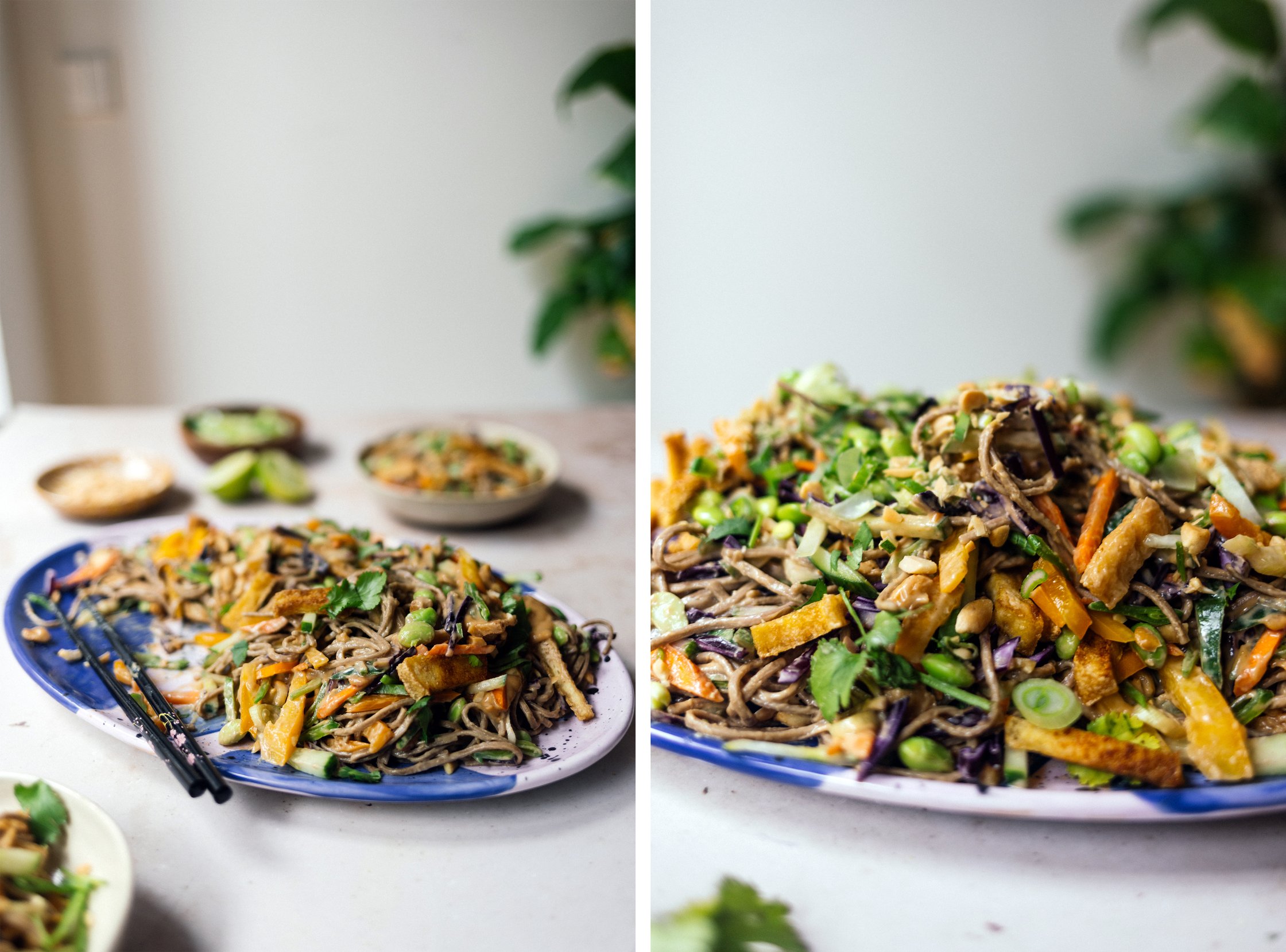 sideshot of Vegan Soba Noodle Summer Roll Salad