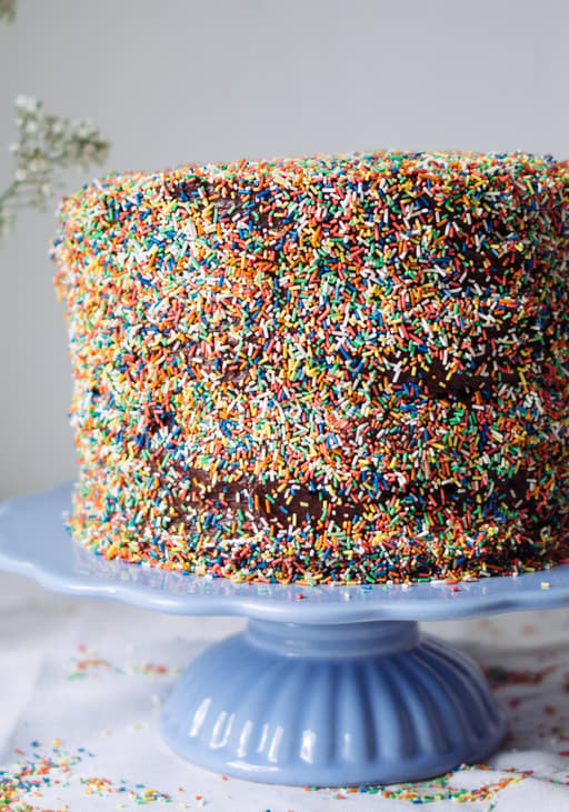 Vegan Chocolate Cake with Sprinkles