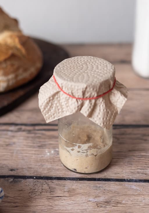 Sauerteig Schritt für Schritt ansetzen