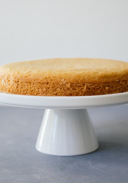 Vegan Sponge Cake 101: Helpful Tips and Recipes to Bake Now