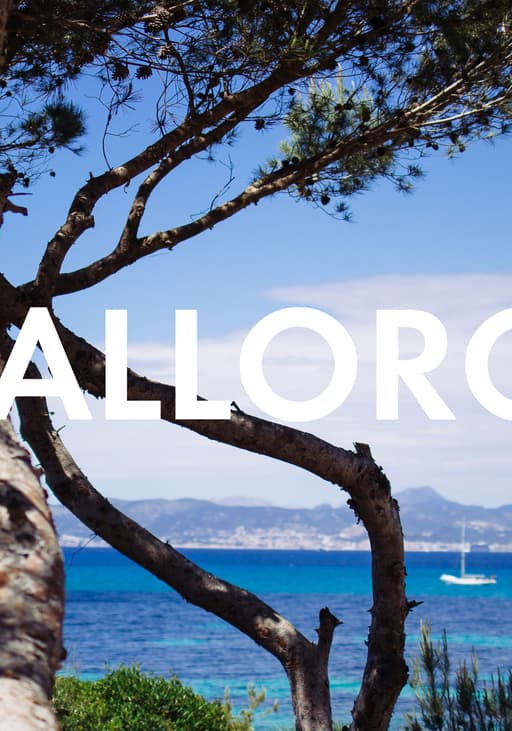 Vegan Essen in Mallorca: Unsere liebsten Restaurants