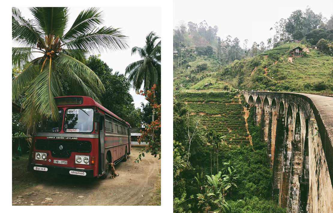 A101 Vegan in Sri Lanka