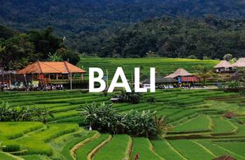 Vegan Essen in Bali: Unsere liebsten Restaurants