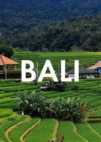 Vegan Essen in Bali: Unsere liebsten Restaurants