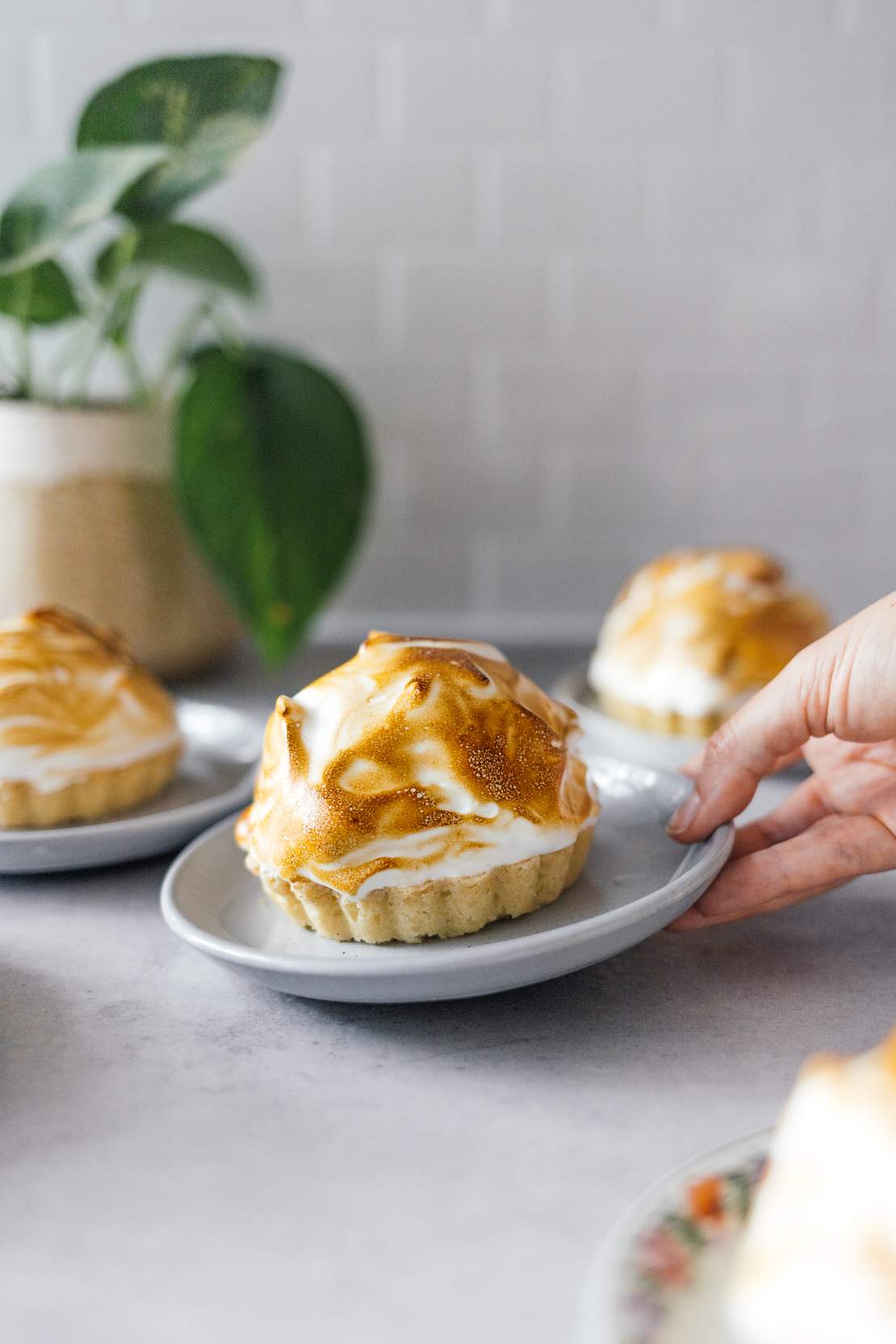 R762 Vegan Mini Baked Alaska