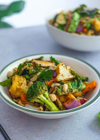 Quick One Pot Udon Noodles with Gingered Veggies and Tofu 