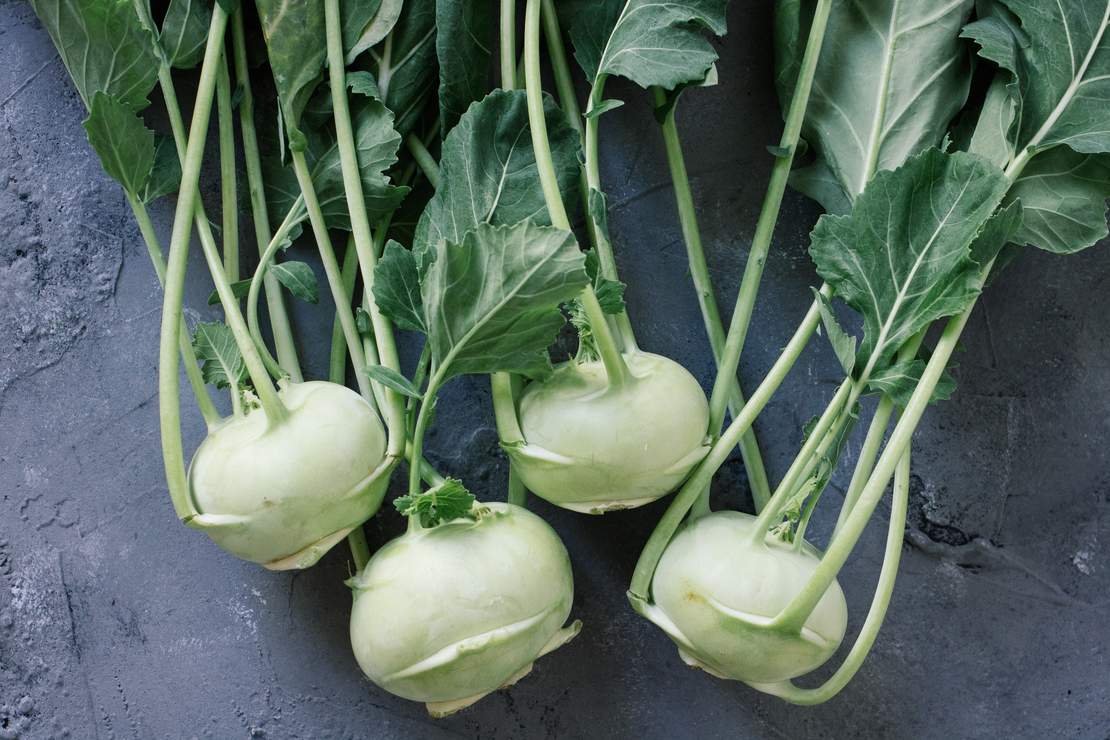 R235 Kohlrabischnitzel mit Gurkensalat