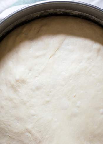 Vegan Yeast Dough 101: Helpful Tips and Recipes to Bake Now