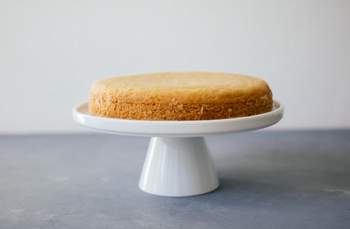 Vegan Sponge Cake 101: Helpful Tips and Recipes to Bake Now